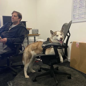 video-production-company-Bring-Dogs-To-Work