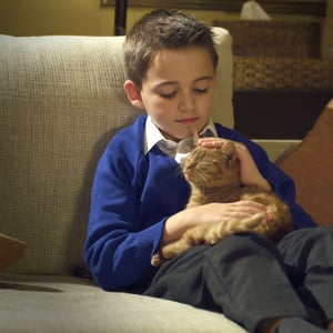 video-production-company-filming-with-animals